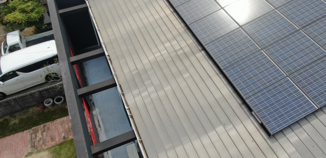 太陽光パネル下に鳩が巣