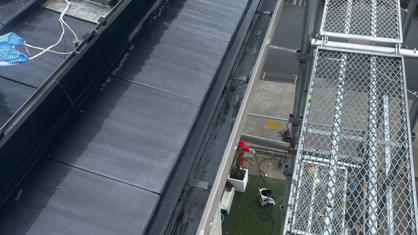 横樋もきれいに洗浄