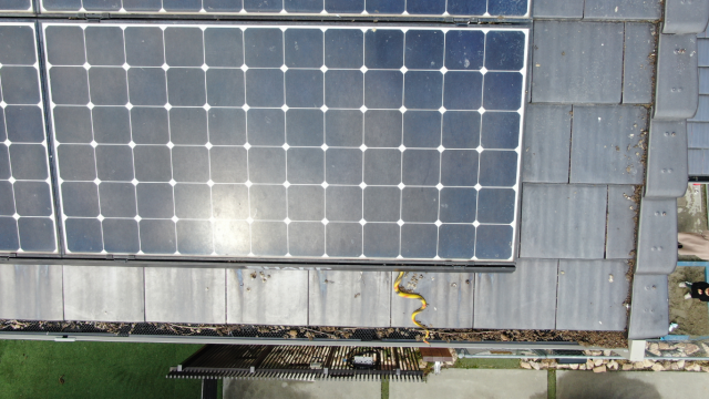 太陽光パネルの下に鳩の巣