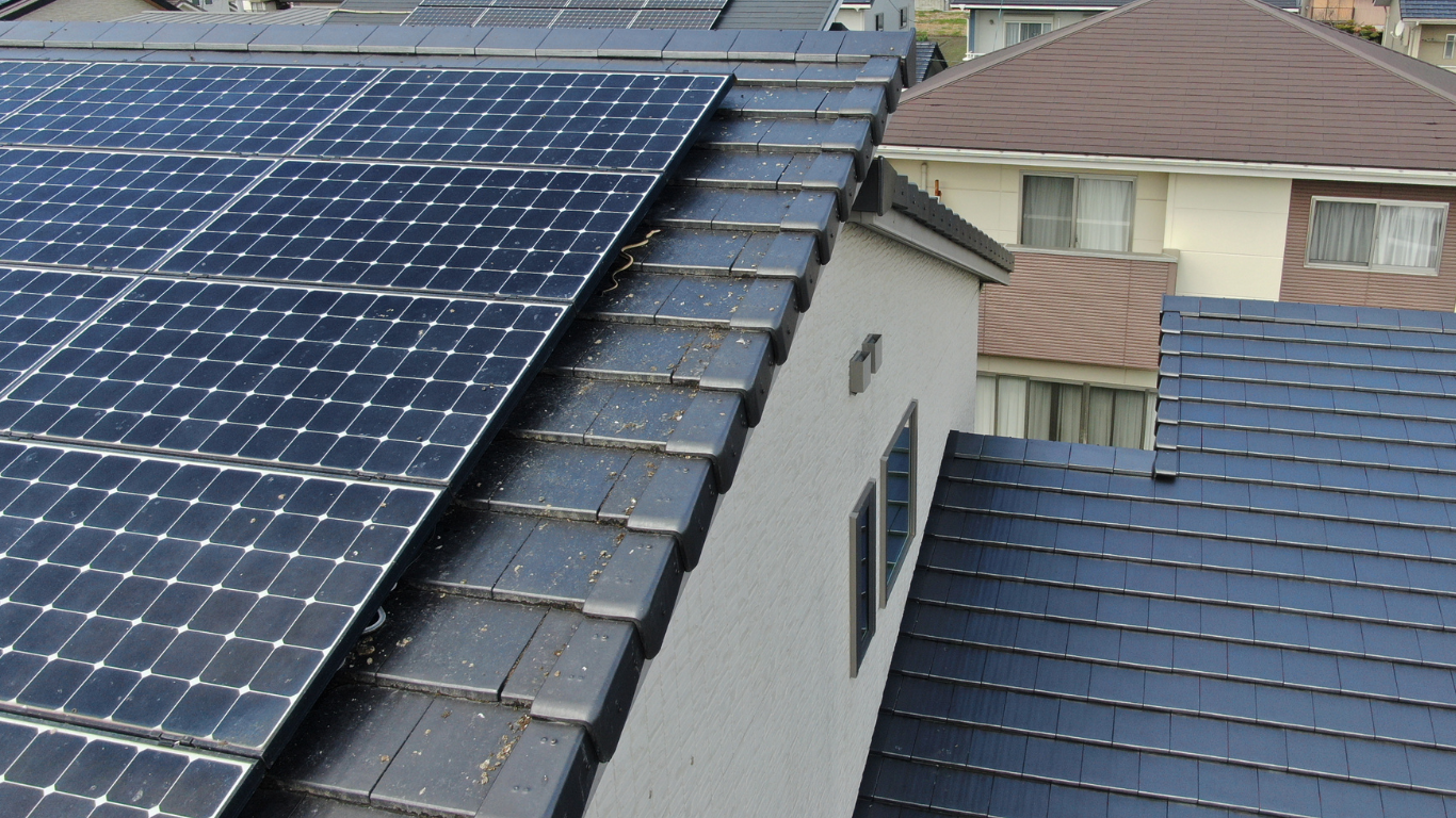 太陽光パネルの下に鳩の巣
