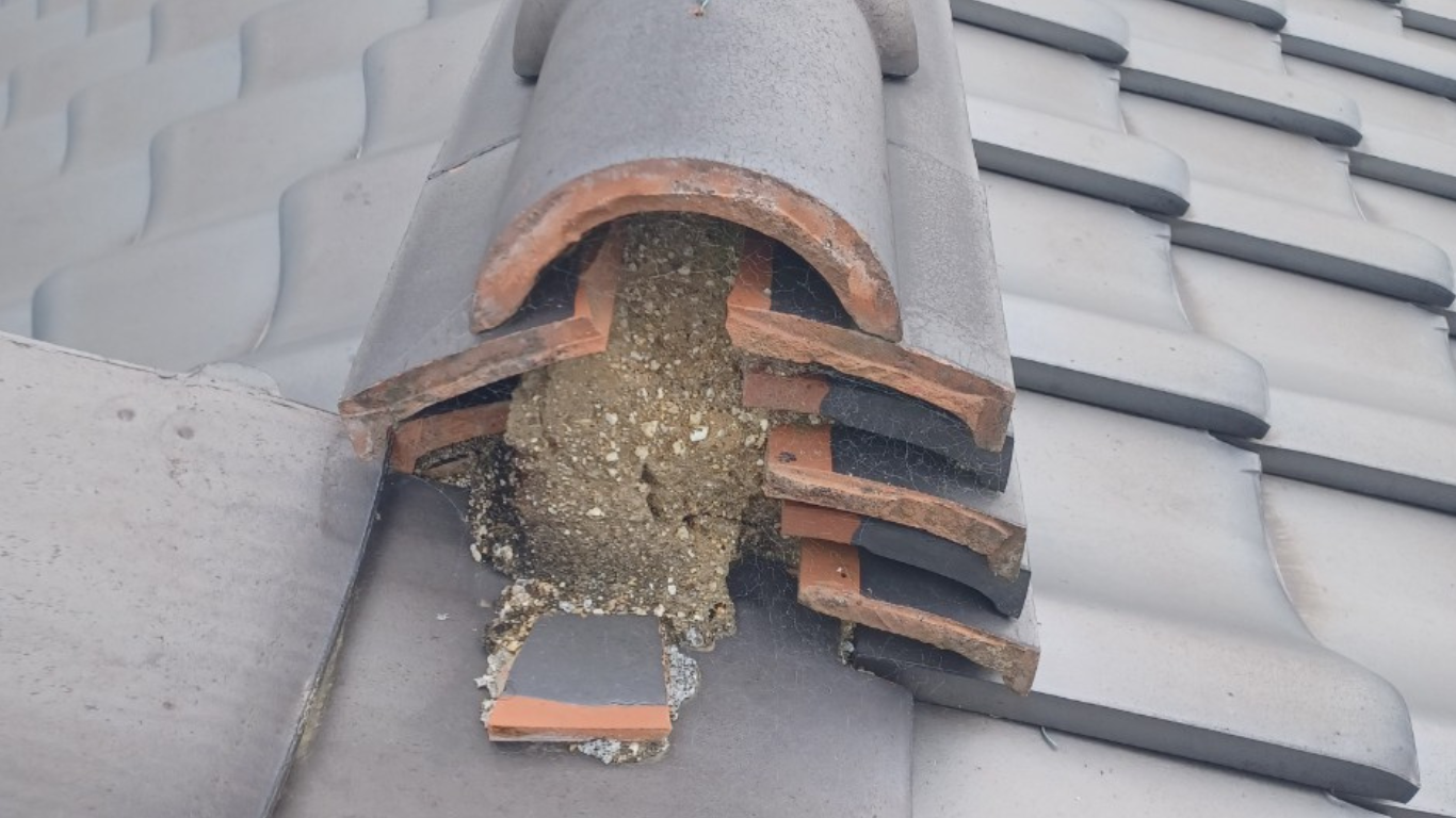 棟尻漆喰の剥がれ