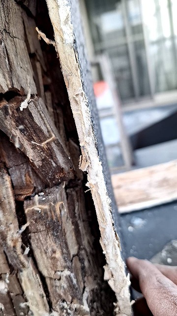 丸亀市　ベランダ内部の木部の腐食