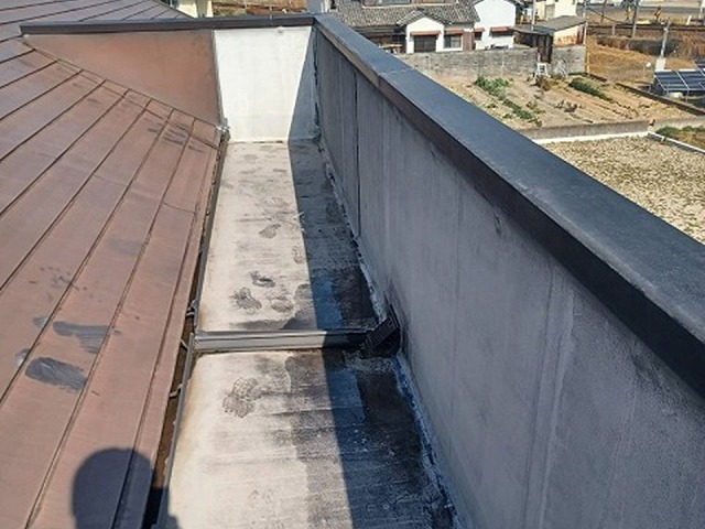 住宅の屋上シート防水の排水ドレン周辺に水たまりができている様子