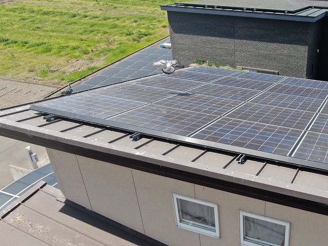 住宅屋根点検で太陽光パネル周囲の鳩の姿や大量の糞を確認