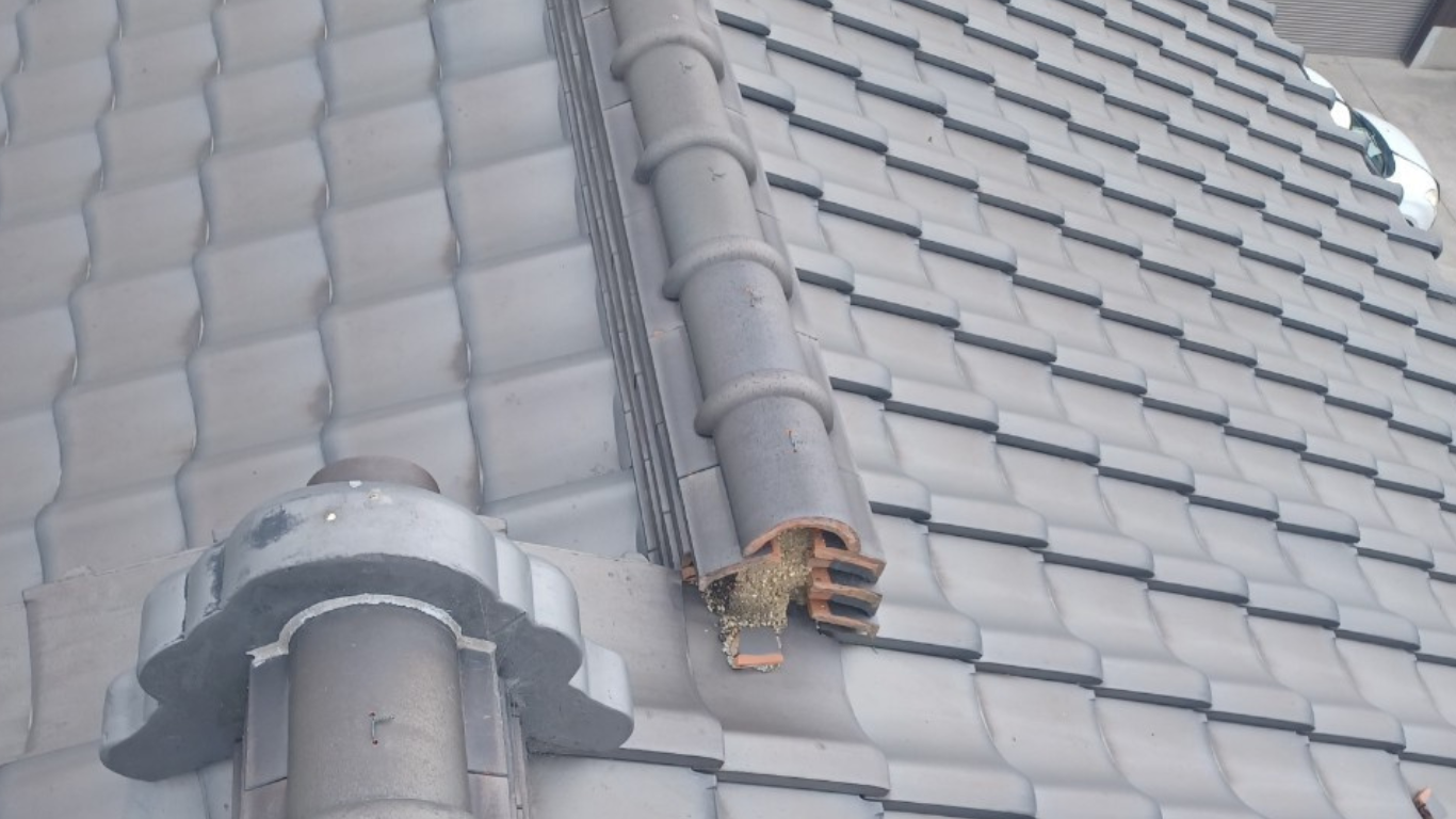 棟尻漆喰の剥がれ