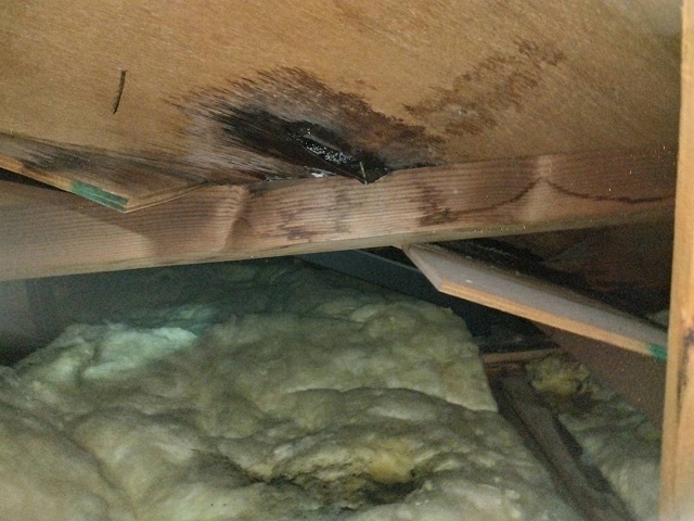 雨漏りヶ所の写真