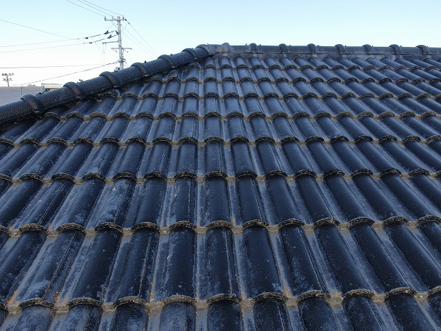 無料点検でモニエル瓦の苔やカビを確認