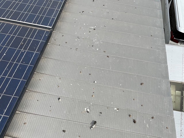住宅屋根の太陽光パネル周辺に鳥の糞を大量に落とされている状況