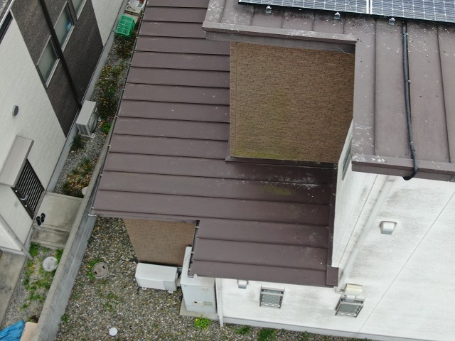 無料点検で下屋根に鳥害が及んでいる様子を確認