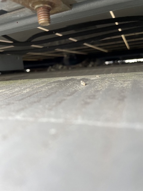 住宅の無料点検で太陽光パネル下の鳥の巣を確認