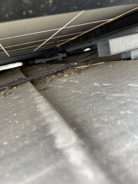 住宅の無料点検で太陽光パネル下の鳥害状況