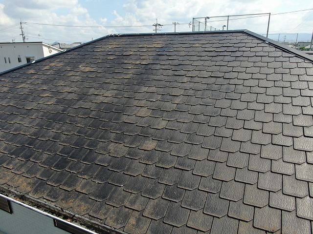 カビ苔で変色した瓦の写真