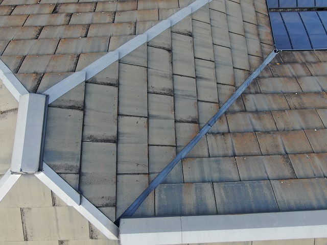 カビ苔の生えた屋根