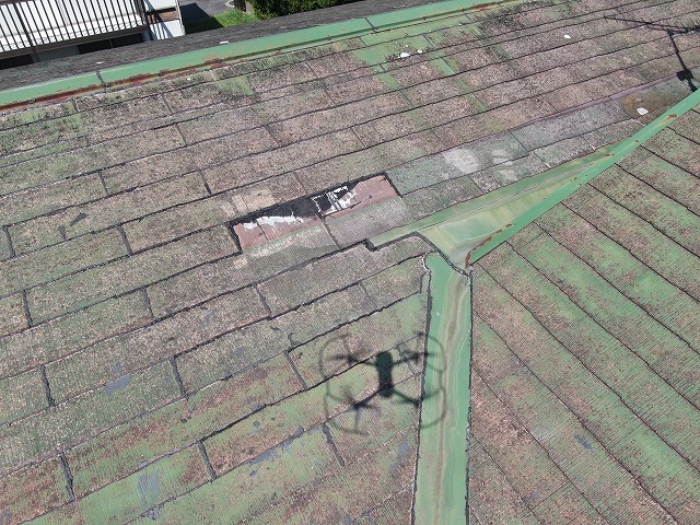 瓦が2枚割れている写真