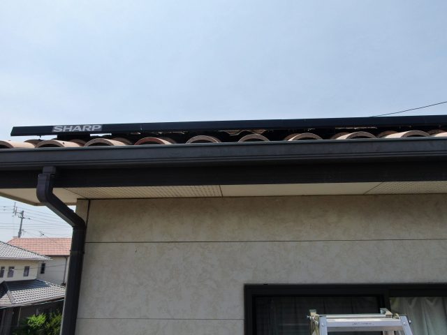 高松市での太陽光パネル下にできた鳩の巣