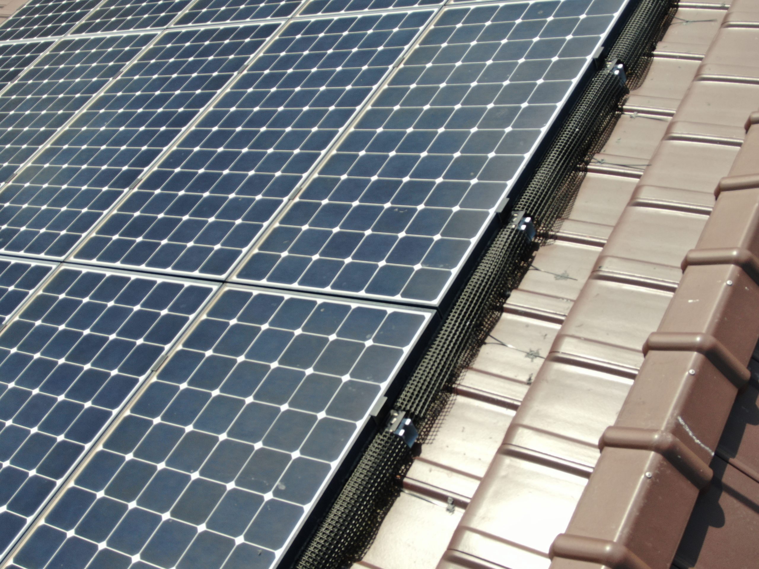 太陽光パネルの鳩対策