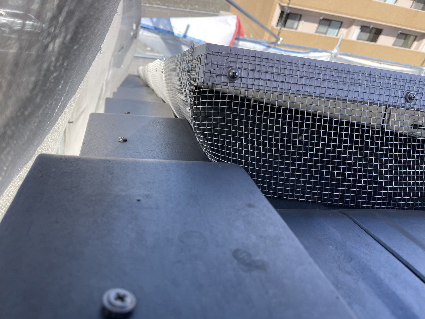 ステンレスメッシュとステンレスビスで鳩対策
