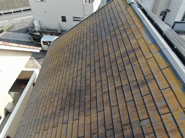 コロニアル瓦カビ苔