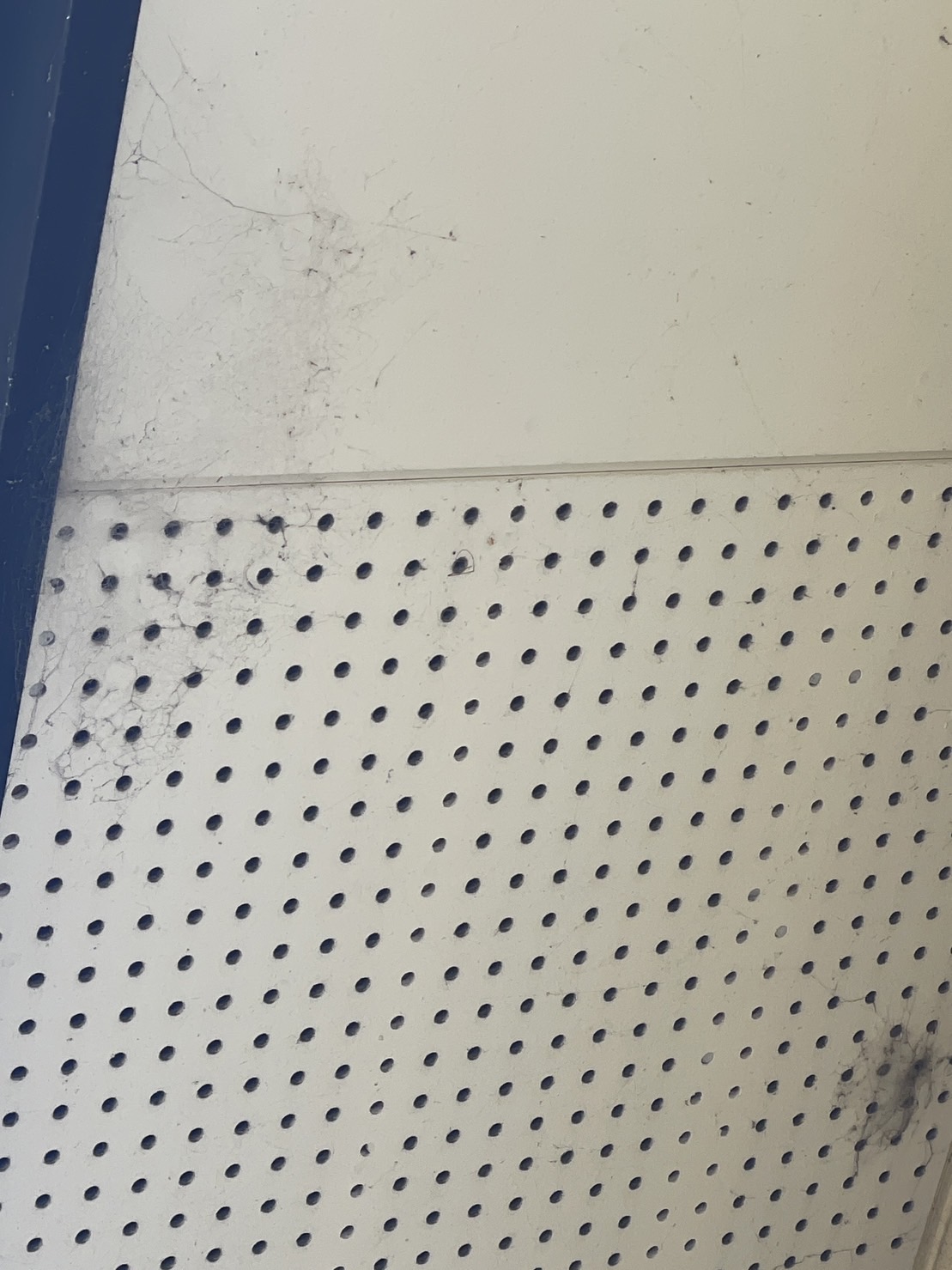 ひびのはいった軒