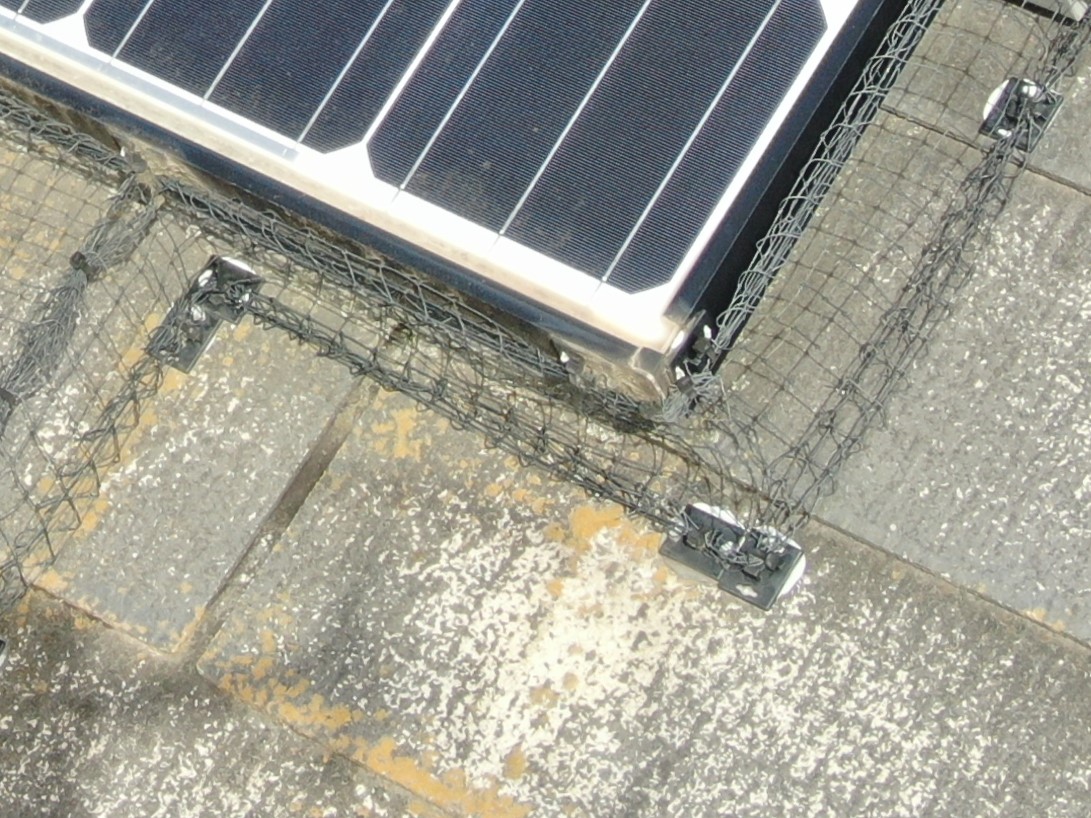 太陽光の鳥対策