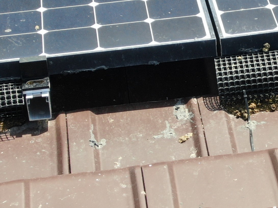 鳩対策のネットが破られる