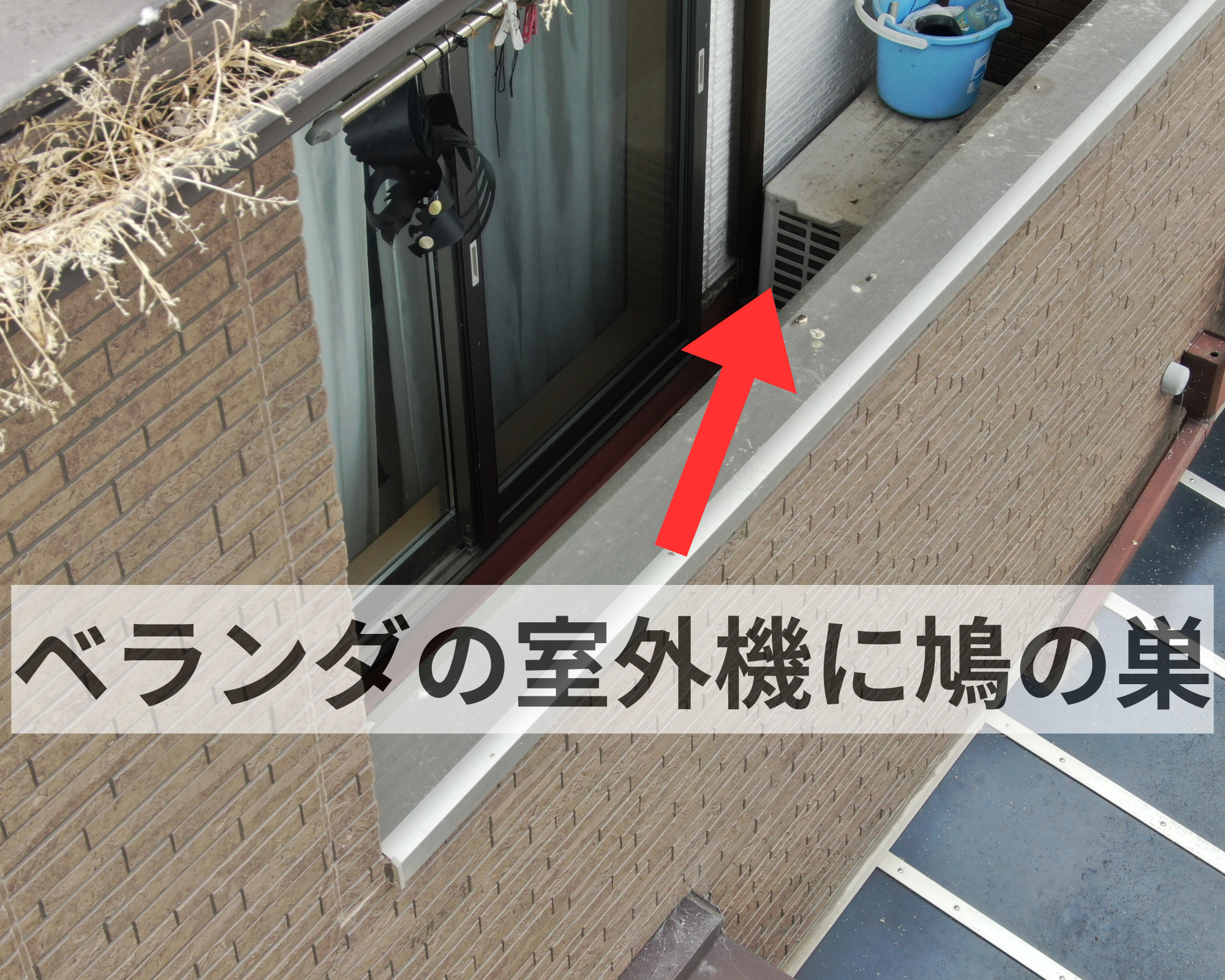 ベランダの室外機に鳩の巣