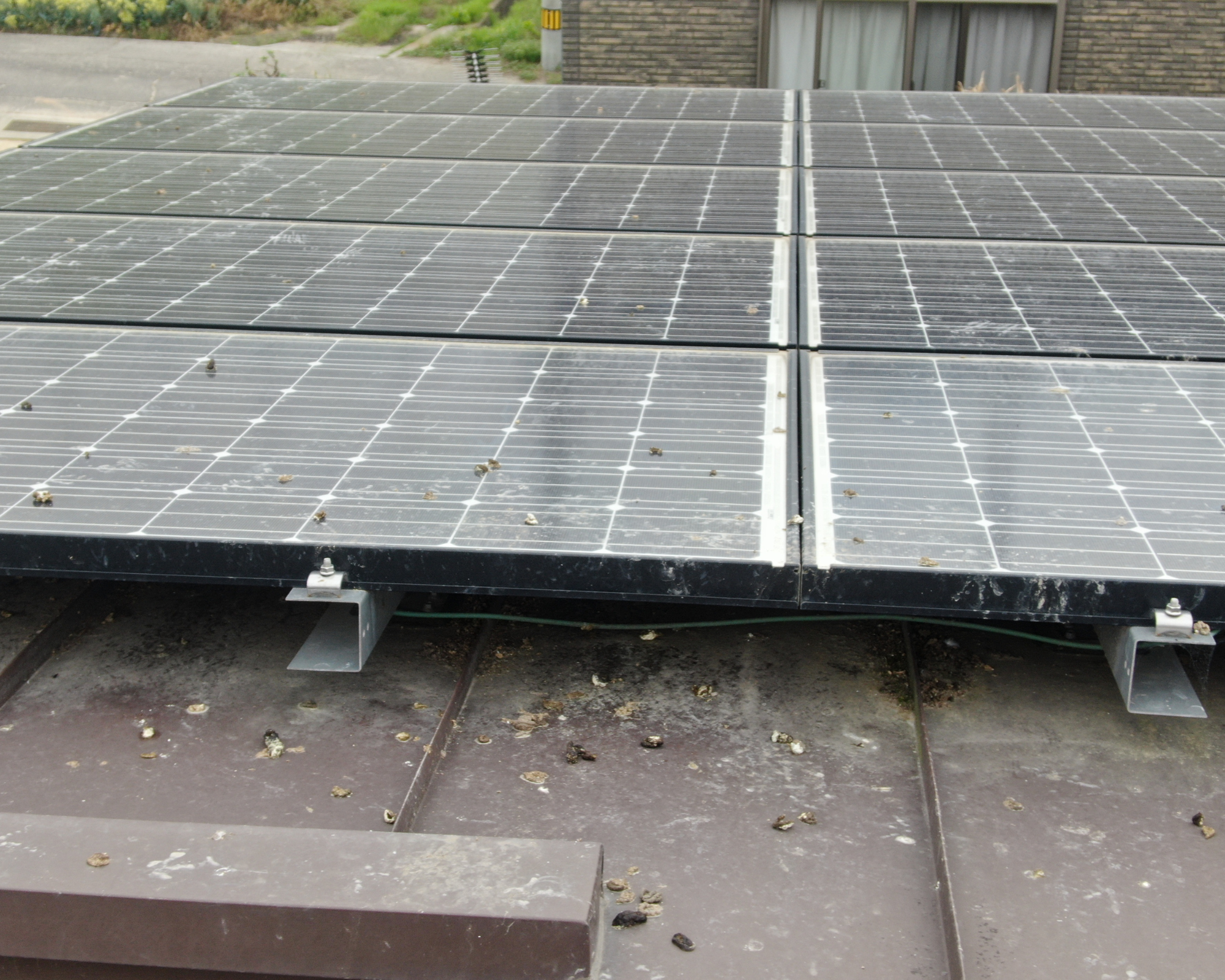 太陽パネルに鳥の糞尿被害