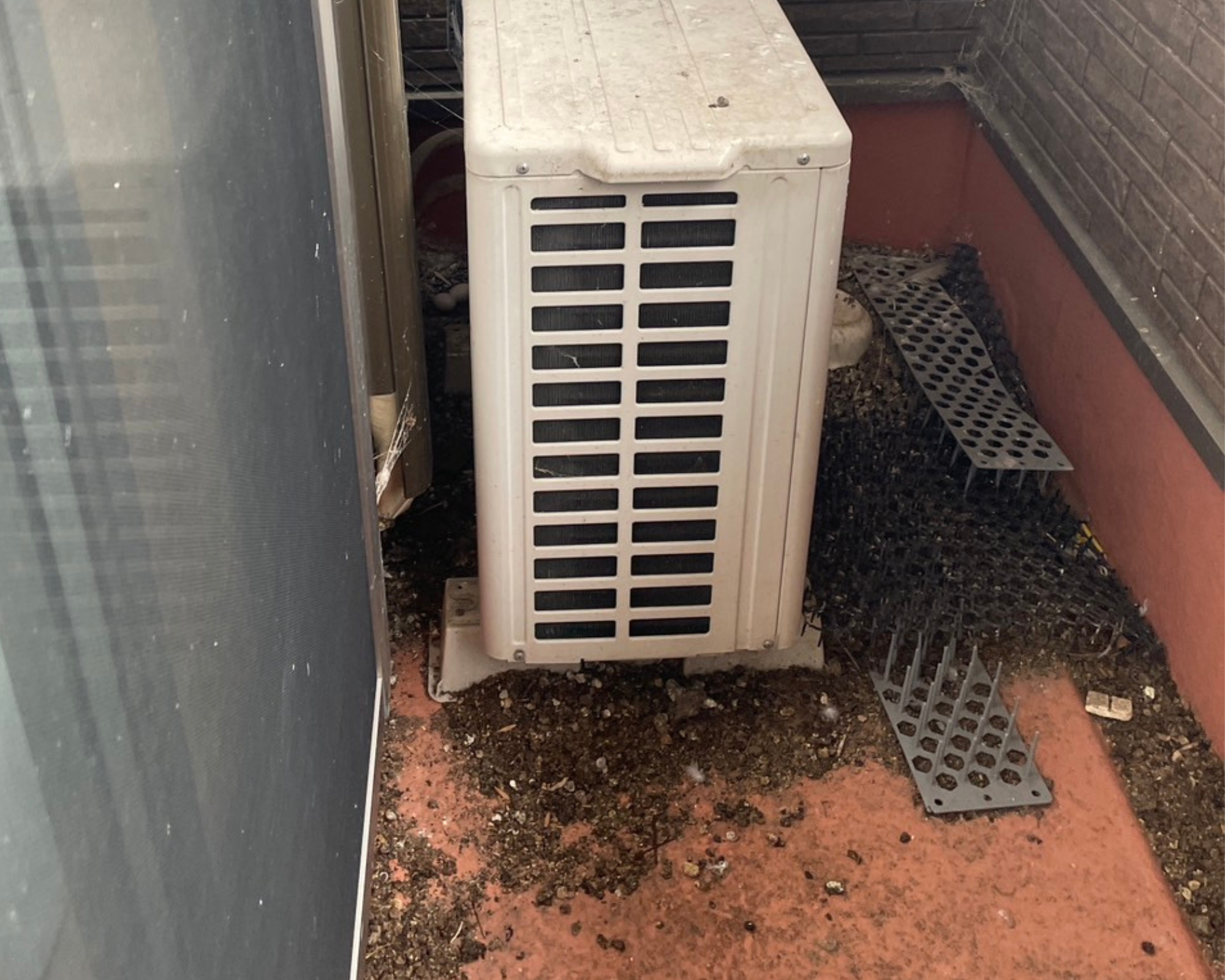 室外機の裏に鳩の巣