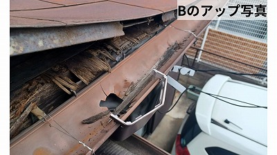 庇の下地が腐っている