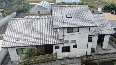 リシン吹付に緑の苔発生