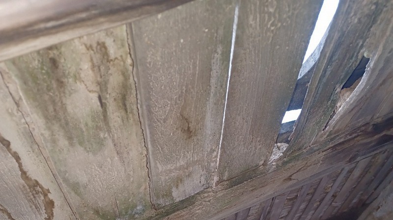 天井からは空が見える