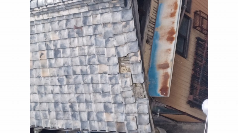 瓦が剥がれ野地板が見える屋根