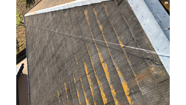 コロニアルにカビ苔