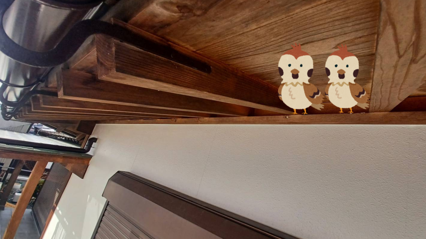 鳥が止まって糞が落ちている