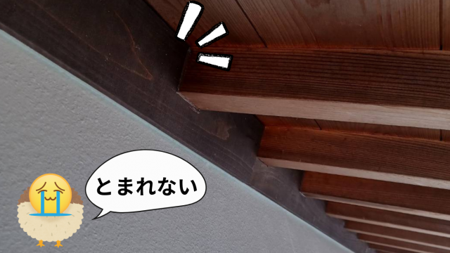 面戸板設置し鳥対策