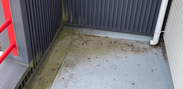 ベランダに鳩の糞