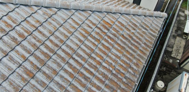 屋根にカビ苔が付着している