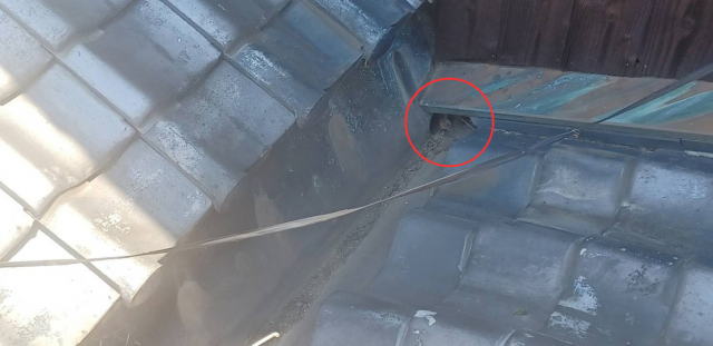 排水溝が小さく雨水を処理しきれない