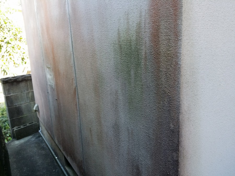 北側の外壁面に生えたカビや藻