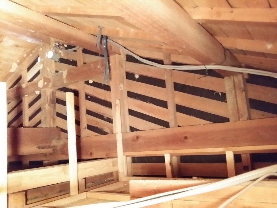 屋根裏からの軸組みの様子