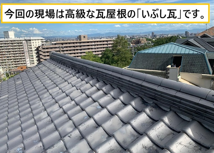 池田市｜瓦屋根から雑草が…放置すると雨漏りする可能性も！