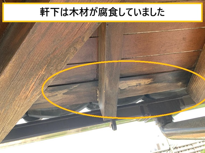 箕面市｜瓦屋根に草が生える原因とは？雨漏りとの関係を無料点検で徹底解説！