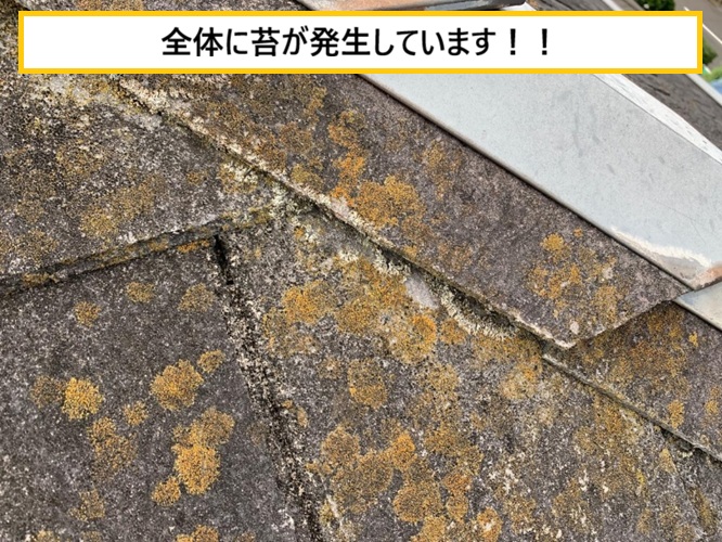 枚方市｜劣化したスレート屋根を現地点検！注意すべき症状とは