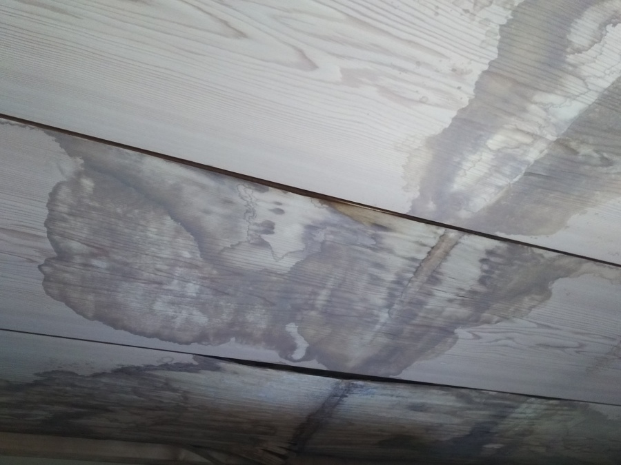 天井の雨漏り雨染み