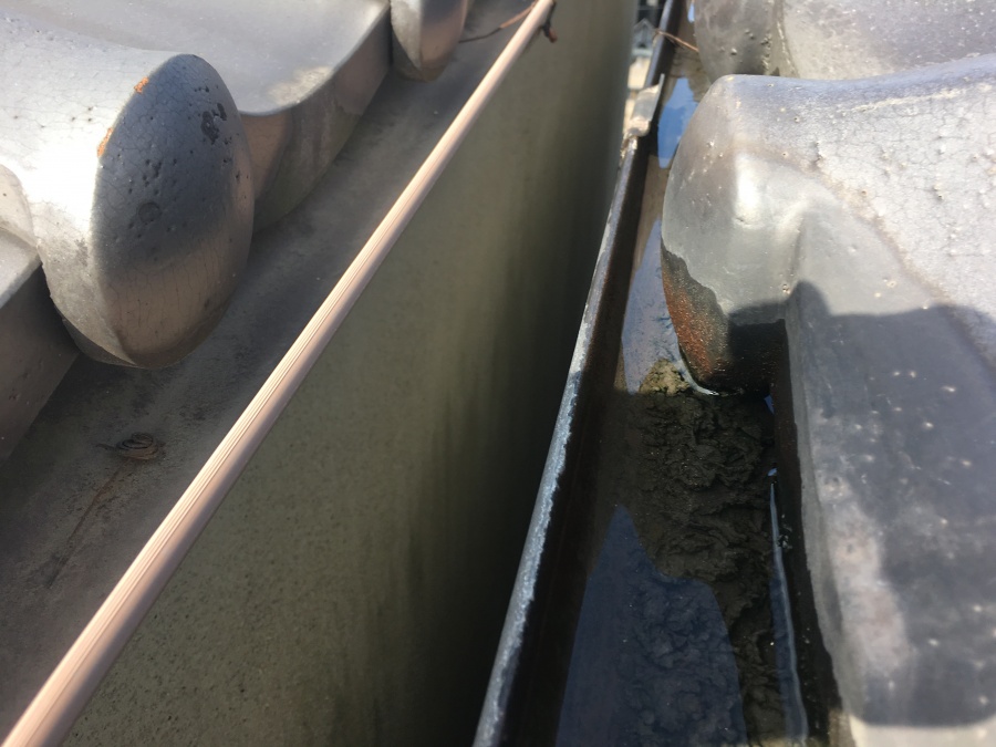 雨水が停滞した雨樋