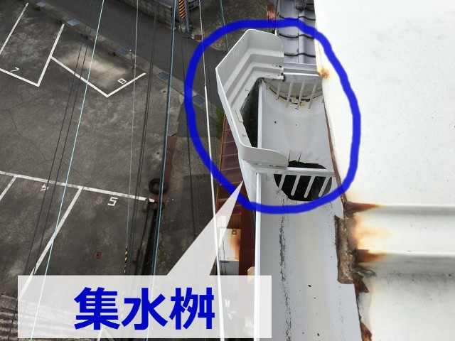 割れずに残った集水桝