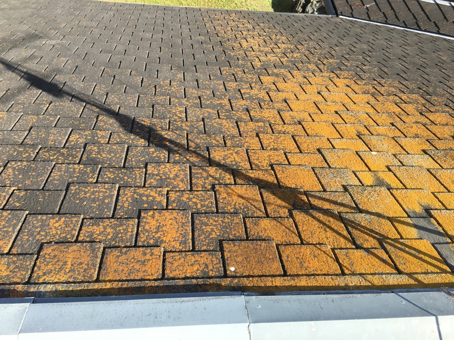 スレート瓦に苔