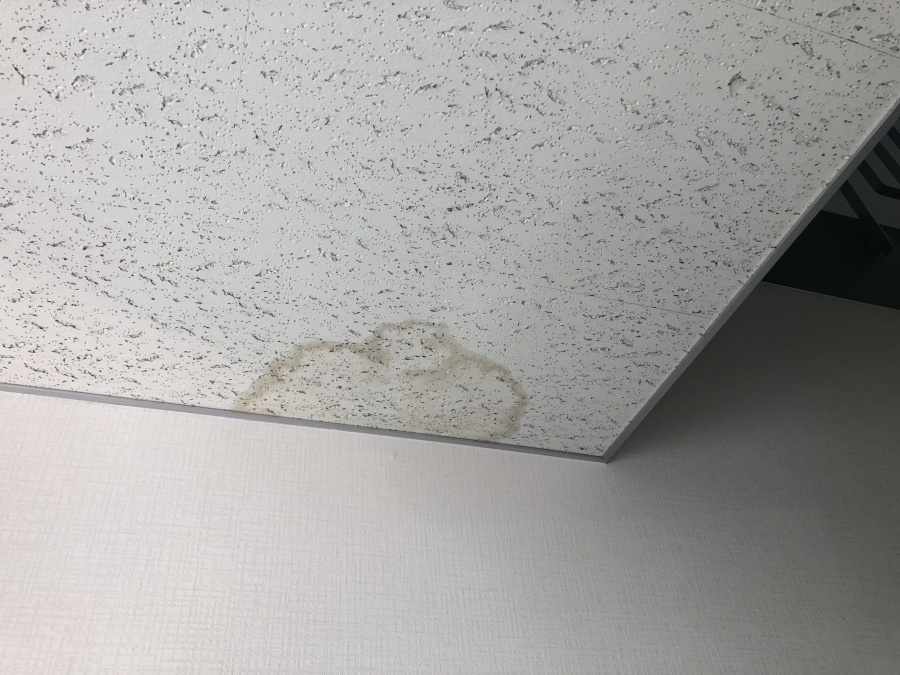 雨漏り箇所