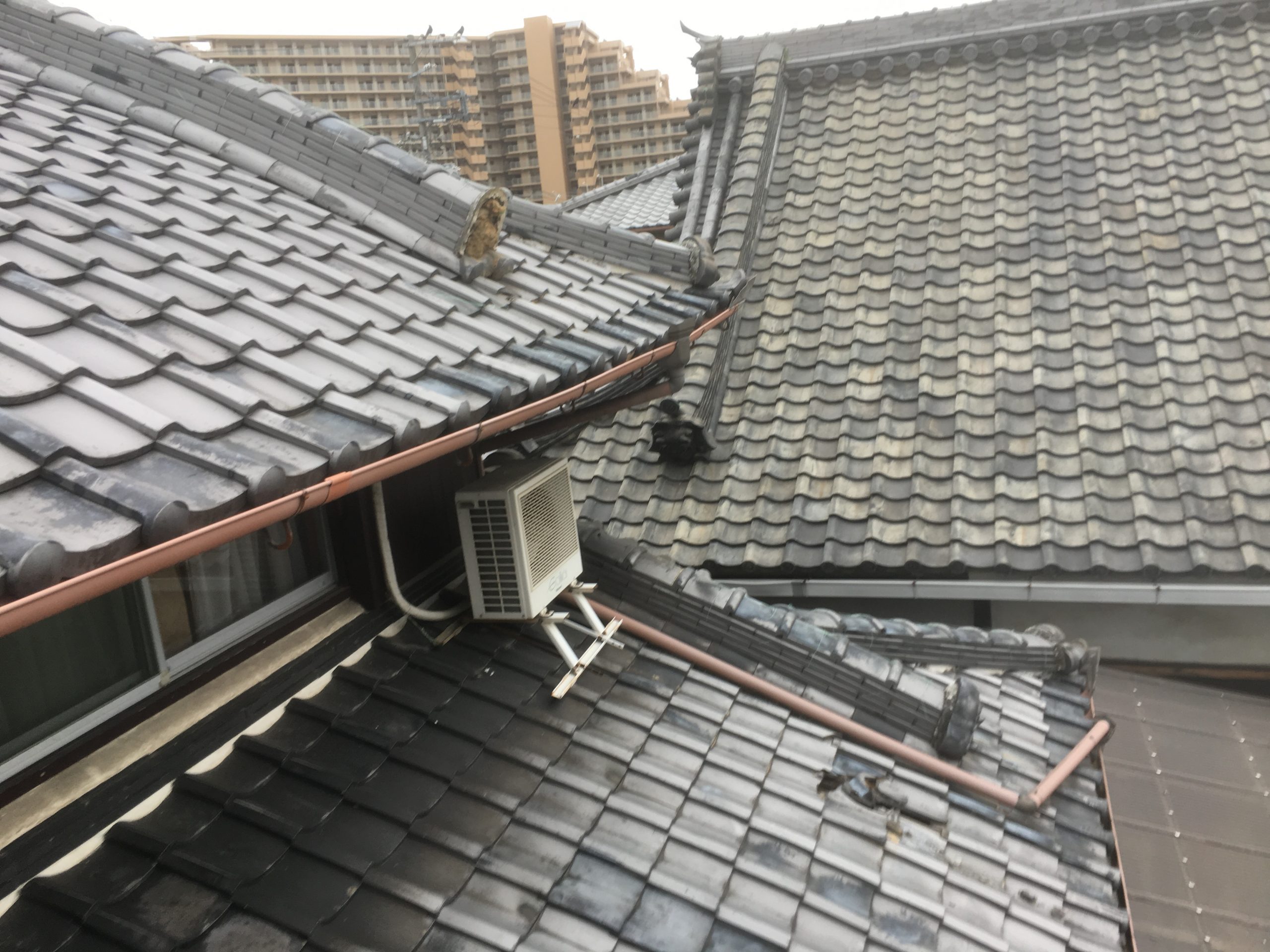 瓦落下箇所を発見