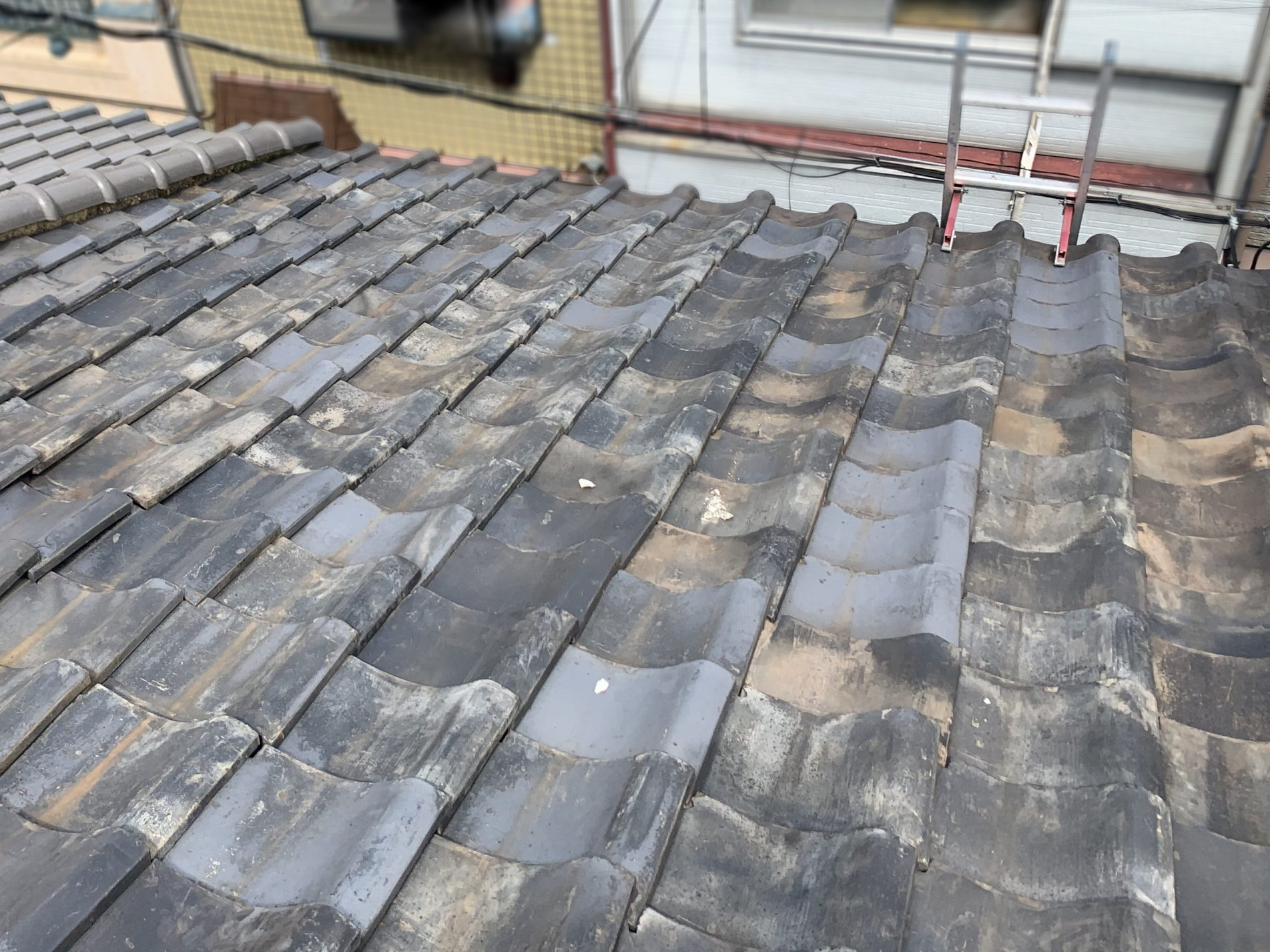 雨漏り点検を実施する屋根